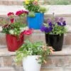 Viva Round Self-Watering Planter, 7" Diameter 2 Viva Round Self-Watering Planter, 7" Diameter -Garden Care 8595222 5302 tif