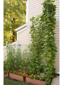 Stack & Extend Veggie Wall -Garden Care 8595683 07V 3 4