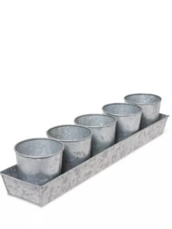 Galvanized Herb Planters With Rectangular Tray 9 Galvanized Herb Planters With Rectangular Tray -Garden Care 8595903 3924 tif