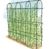 Titan Pea Tunnel -Garden Care 8596275 0002 1 tif