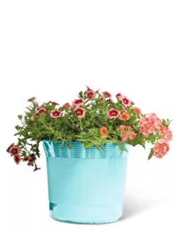 Eezy Gro Self-Watering Planters 14 Eezy Gro Self-Watering Planters -Garden Care 8596426 103 tif