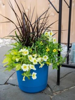 Garden Care -Garden Care 8596427 0035 tif