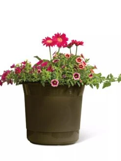 Eezy Gro Self-Watering Planters 12 Eezy Gro Self-Watering Planters -Garden Care 8596427 108 tif