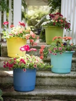 Eezy Gro Self-Watering Planters 13 Eezy Gro Self-Watering Planters -Garden Care 8596427 8090 tif