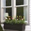 Valencia Window Box, 3' 2 Valencia Window Box, 3' -Garden Care 8596436 7496 tif