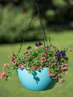 Viva Self-Watering Hanging Basket, 14" Diameter 10 Viva Self-Watering Hanging Basket, 14" Diameter -Garden Care 8596442 0859 tif