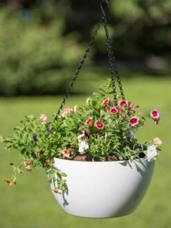 Viva Self-Watering Hanging Basket, 14" Diameter 9 Viva Self-Watering Hanging Basket, 14" Diameter -Garden Care 8596442 0864 tif