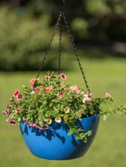 Viva Self-Watering Hanging Basket, 14" Diameter 11 Viva Self-Watering Hanging Basket, 14" Diameter -Garden Care 8596442 0876 tif