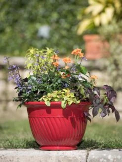 Mazzano Self-Watering Planters 13 Mazzano Self-Watering Planters -Garden Care 8596564 4883 tif