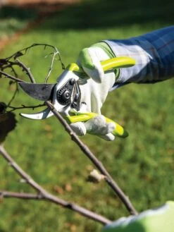 Gardener's Pro Pruner #2 -Garden Care 8596605 032 tif