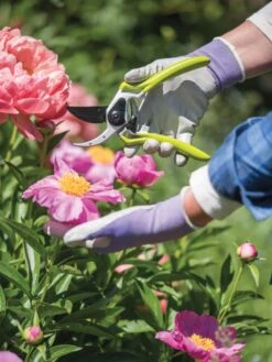 Gardener's Pro Pruner #2 -Garden Care 8596605 1261 tif