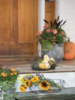 Galvanized Rim Planters 11 Galvanized Rim Planters -Garden Care 8597379 1625 tif