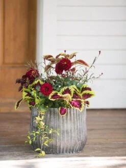 Galvanized Ribbed Planters 8 Galvanized Ribbed Planters -Garden Care 8597435 1693 tif