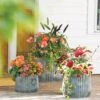 Galvanized Ribbed Planters -Garden Care 8597436 1680 tif