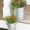 Galvanized Rim Planters 2 Galvanized Rim Planters -Garden Care 8597442 1700 tif