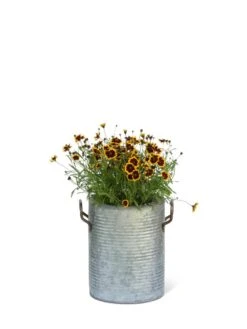 Galvanized Rim Planters 12 Galvanized Rim Planters -Garden Care 8597442 1705 tif