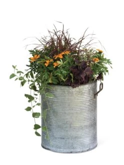 Galvanized Rim Planters 13 Galvanized Rim Planters -Garden Care 8597443 1704 tif