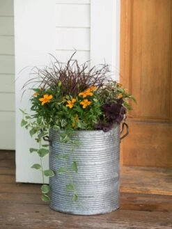 Galvanized Rim Planters 10 Galvanized Rim Planters -Garden Care 8597443 1708 tif