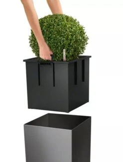 Lechuza® Cube Premium Planters -Garden Care 8597506 04V tif