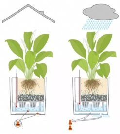 Lechuza® Cube Premium Planters -Garden Care 8597506 05V tif