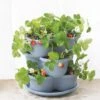 Stacking Strawberry Pot 2 Stacking Strawberry Pot -Garden Care 8597996 9004 tif