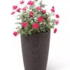 Weave Self-Watering Round Tall Planter, 12-1/2" 2 Weave Self-Watering Round Tall Planter, 12-1/2" -Garden Care 8598371 3000 tif