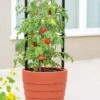 Gardener’s Victory Self-Watering Planter With Support System 2 Gardener’s Victory Self-Watering Planter With Support System -Garden Care 8598384 6012 tif