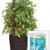Gardener’s Victory Self-Watering Planter Garden Kit -Garden Care 8598389 5000 tif