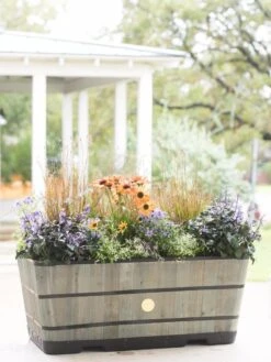 VegTrug™ Trough Planters -Garden Care 8598402 08880 tif