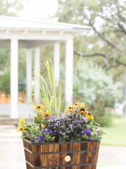 VegTrug™ Trough Planters -Garden Care 8598403 008876 tif