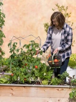 Gardener's Vertex Lifetime Tomato Cage -Garden Care 8598426 0026 tif