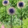 Allium Starburst Stake -Garden Care 8598981 13717 tif