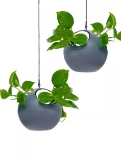 Exaco Euro Hanging Planters, Set Of 2 -Garden Care 8599179 04V tif