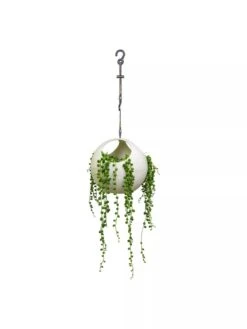 Exaco Euro Hanging Planters, Set Of 2 -Garden Care 8599179 06V tif