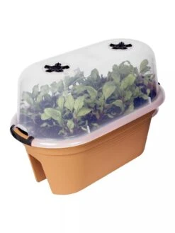 Exaco Trading Corsica Oval Bridge Planter With Cover 6 Exaco Trading Corsica Oval Bridge Planter With Cover -Garden Care 8599435 03V tif
