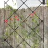Achla Designs Freestanding Lattice Trellis -Garden Care 8599475 01V tif