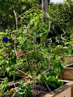 Gardener's Vertex Lifetime Pepper And Eggplant Cage -Garden Care 8599554 01CUST tif