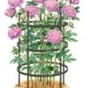 Titan Peony Supports, Large, Set Of 2 -Garden Care 8599857 0001 art tif