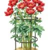 Titan Peony Supports, Medium, Set Of 2 2 Titan Peony Supports, Medium, Set Of 2 -Garden Care 8599858 0001 art tif