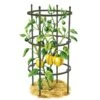 Titan Pepper Eggplant Cages, Set Of 3 -Garden Care 8599859 0001 art tif