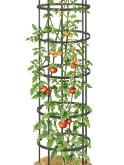 Titan Tall Tomato Cages, Set Of 3 -Garden Care 8599860 0002 art tif