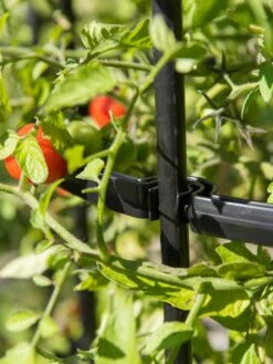 Titan Tomato Cages, Set Of 3 -Garden Care 8599861 0079 tif