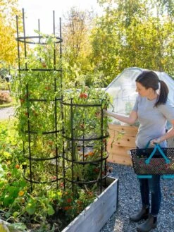 Titan Tomato Cages, Set Of 3 -Garden Care 8599861 0114 tif