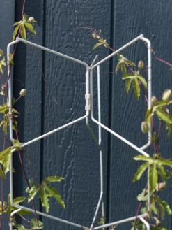 Garden Care -Garden Care 8599997 0052 tif