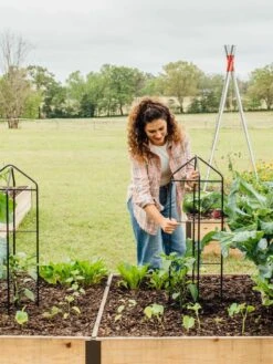 Zenith Folding Garden Supports, Set Of 2 17 Zenith Folding Garden Supports, Set Of 2 -Garden Care 8600073 324 tif