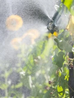 Landscape 4-Way Cooling Mist Kit, 50' 12 Landscape 4-Way Cooling Mist Kit, 50' -Garden Care 8600154 0695 tif