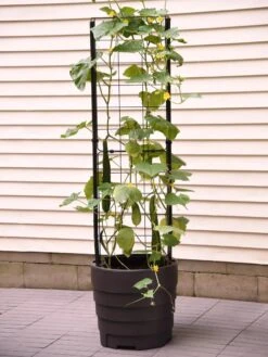 Gardener’s Victory Self-Watering Planter With Vine Trellis -Garden Care 8600177 9876 tif