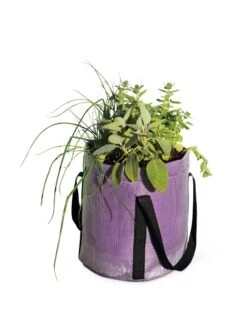 Reinforced Colorful Grow Bags -Garden Care 8600230 0948 tif