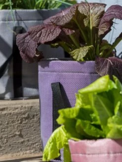 Reinforced Colorful Grow Bags -Garden Care 8600230 20013 tif