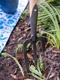 Gardener’s Lifetime Perennial Fork With Short T-Handle 7 Gardener’s Lifetime Perennial Fork With Short T-Handle -Garden Care 8600311 3434 tif